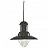 Подвесной светильник Arte Lamp Fisherman A5530SP-1RI