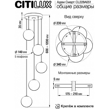 Подвесной светильник Адам Смарт CL228A051