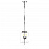 Подвесной светильник ST Luce Delevaso SL367.103.04