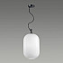 Подвесной светильник Odeon Light Roofi 4752/1