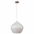 Подвесной светильник Loft IT Loft1845WH