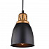 Подвесной светильник Arte Lamp Eurica A4248SP-1BK