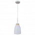 Подвесной светильник Loft IT Restor Loft4402A-Wh