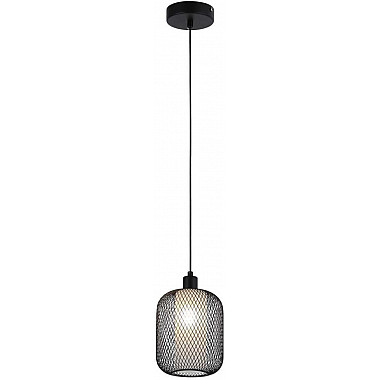 Подвесной светильник Tokri 4602-1P