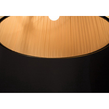 Подвесной светильник Arte Lamp Vitruvio A2805SP-1BK