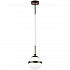 Подвесной светильник Lightstar Globo 813117