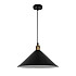 Подвесной светильник Odeon Light Agra 3364/1