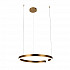 Подвесной светодиодный светильник Loft IT Ring 10013L