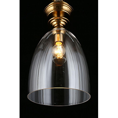 Подвесной светильник Aployt Rena APL.602.16.01