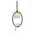 Подвесной светильник Favourite Birds 1594-1P