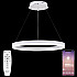 Подвесной светильник LED LIGHT LED LAMPS 81294