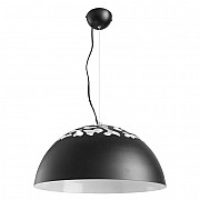 Подвесной светильник Arte Lamp Cima A3815SP-1BK