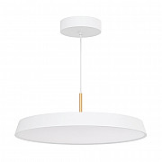 Подвесной светильник 033925(1)