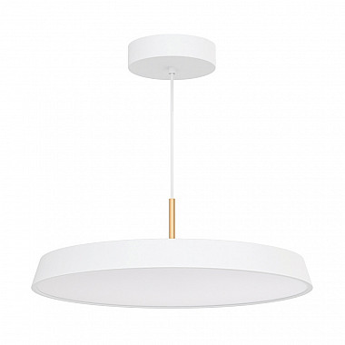 Подвесной светильник 033925(1)