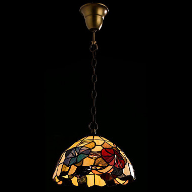 Подвесной светильник Arte Lamp Florizel A3166SP-1BG
