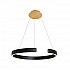 Подвесной светодиодный светильник Loft IT Ring 10025/600 Black