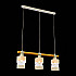 Подвесной светильник Evoluce Abiritto SLE114503-03