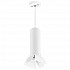 Подвесной светильник Lightstar Rullo (214496+590056+202436) RP496436