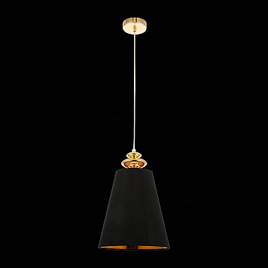 Подвесной светильник Evoluce Rionfo SSL1137.203.01