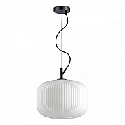 Подвесной светильник Odeon Light Roofi 4754/1