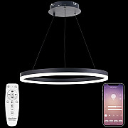 Подвесной светильник LED LIGHT LED LAMPS 81295