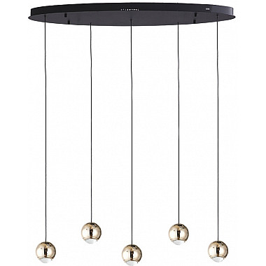 Подвесной светильник Danay LH8027/5P-BK-SGD