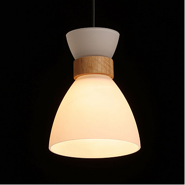 Подвесной светильник Лоск 107010203