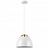 Подвесной светильник Loft 765046
