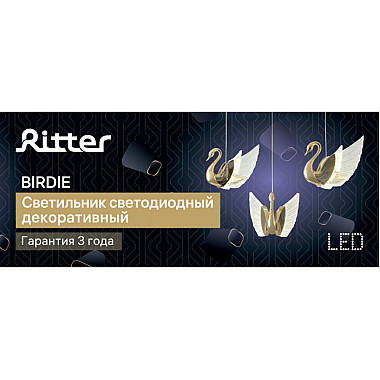 Подвесной светильник Birdie 51636 5
