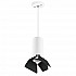 Подвесной светильник Lightstar Rullo (214486+590056+202437) RP486437