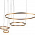 Подвесной светодиодный светильник Loft IT Ring 10017/4S