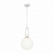 Подвесной светильник Loft IT Parachilna 9975-B