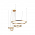 Подвесной светодиодный светильник Loft IT Ring 10017/4S