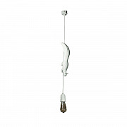 Подвесной светильник Loft IT Sherwood 10092