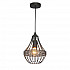 Подвесной светильник Favourite Terra 1800-1P