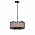 Подвесной светильник Vele Luce Morgan VL4042P01