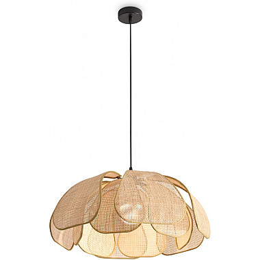 Подвесной светильник Cocoon FR5529PL-01B