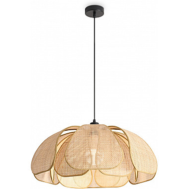 Подвесной светильник Cocoon FR5529PL-01B