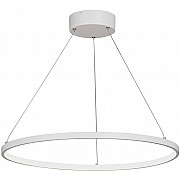 Подвесной светильник V04601-03/1S