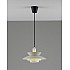 Подвесной светильник Shaggy V11304-1P