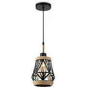 Подвесной светильник TRADITIONAL TR8521