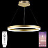 Подвесной светильник LED LIGHT LED LAMPS 81296