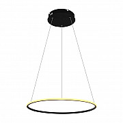 Подвесной светодиодный светильник Arte Lamp A2500SP-1BK