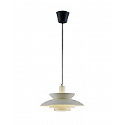 Подвесной светильник Shaggy V11304-1P