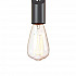 Подвесной светильник Loft IT Tails Loft1510BL