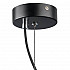 Подвесной светильник Lightstar Globo 803317