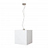 Подвесной светильник TopDecor Lungo S2 01 01g
