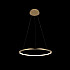 Подвесной светодиодный светильник Loft IT Ring 10014M