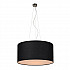 Подвесной светильник TopDecor Crocus Glade S1 01 02g