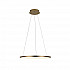 Подвесной светодиодный светильник Loft IT Ring 10014M
